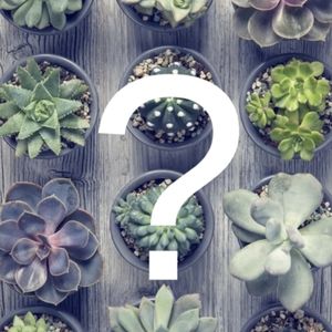 Clothes mystery box
